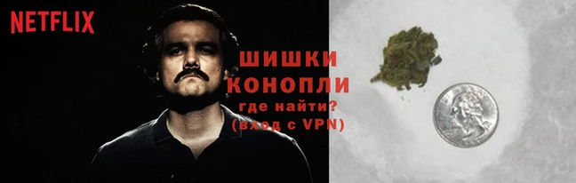 стаф Каменногорск