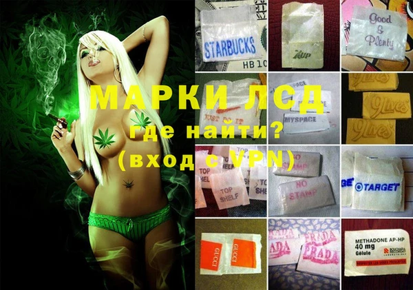 стафф Козловка