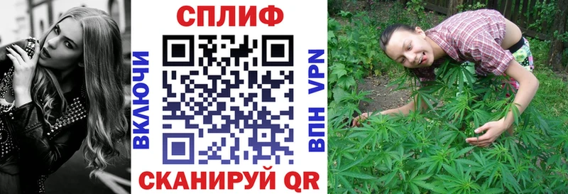 Шишки марихуана сатива  Мещовск 
